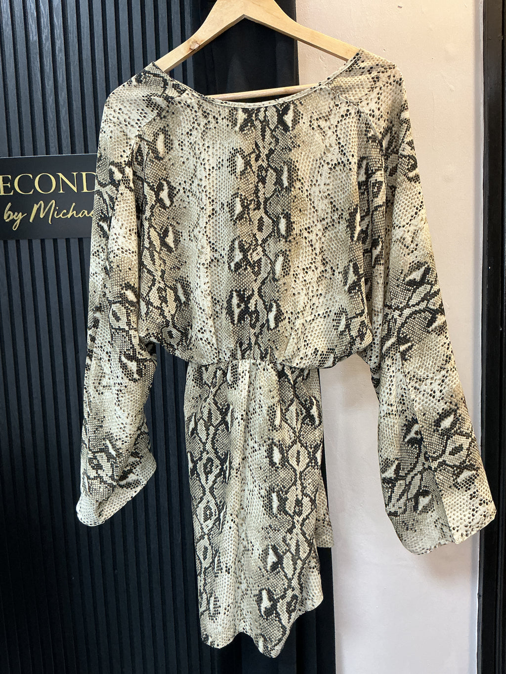 Blue Vanilla Snake Print Batwing Mini Dress - Size 10